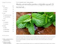 website magazin online cu blog
